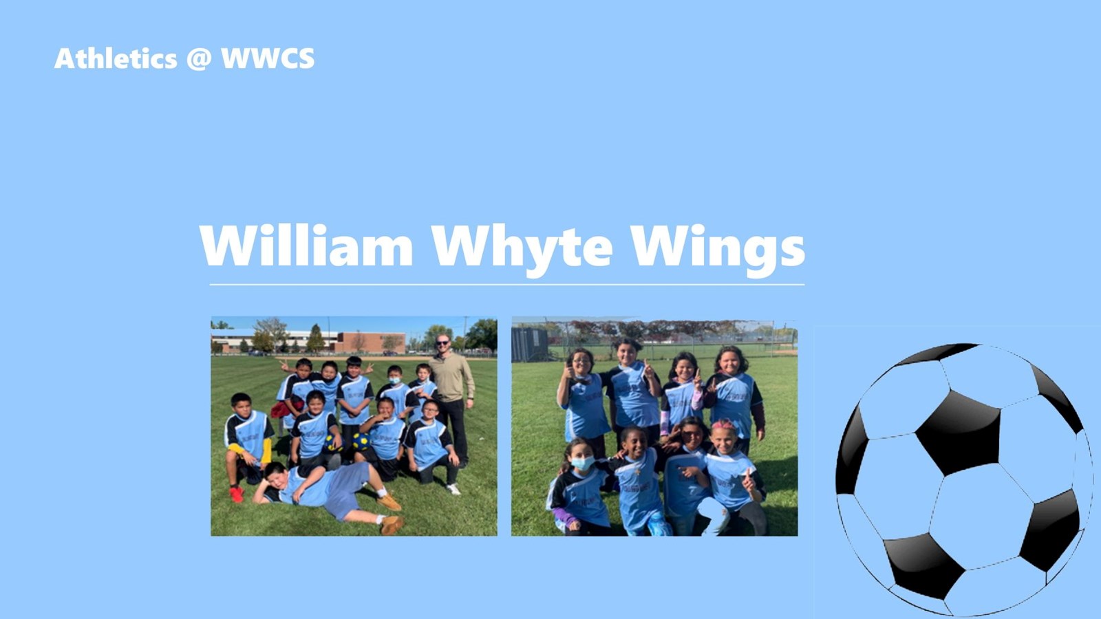 William Whyte Wings